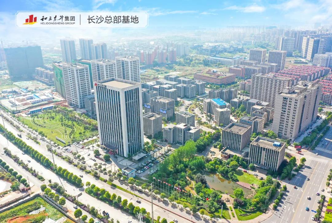 天心区委书记吴新伟一行光临w88win官网调研调查(图2)